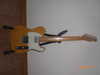 telecaster Modified 2.JPG
